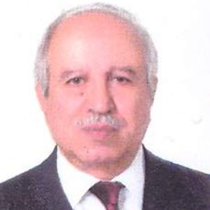 منوچهر بحرینی