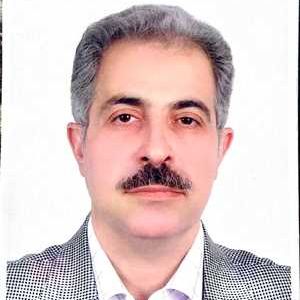 سید مهدی انوری