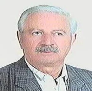 علی اکبر صرفه جو