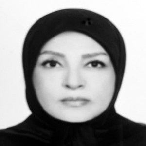 حامد پروندی