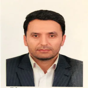 هادی سرانجام