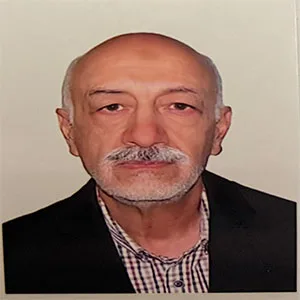 محمدعلی‌ مطلبی