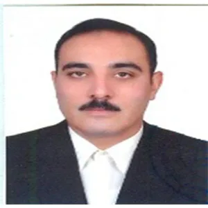 داود کرمی