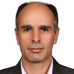 حمید اسماعیلی نسب بهترین وکیل دیه در تهران