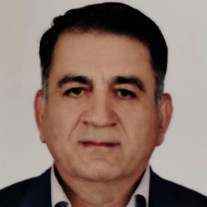 حمیدرضا فرخی