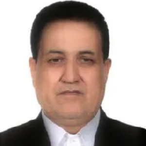 محمدرضا ولیدی