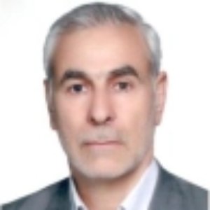 علی اصغر فتاحی برج احمدی