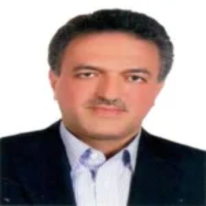 محمدحسن علوی