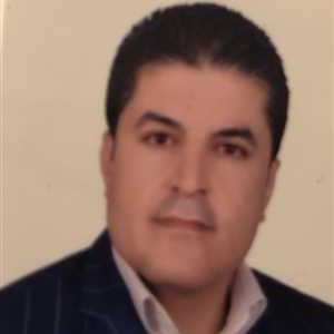 امیر حسین نکونام