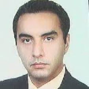 سید امین آل احمد