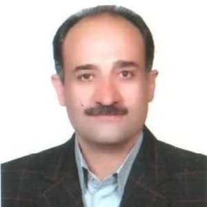 سید مجتبی هاشمی طریقی