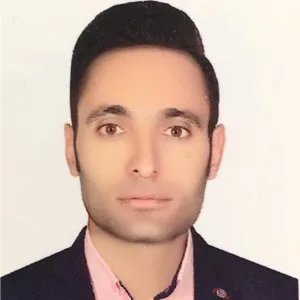 حامد محمدی کجل