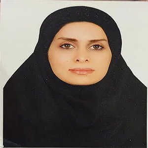 پارمیس فولادی