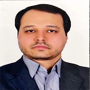 سید مهدی ربیعی