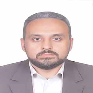 رضا امینی کیا