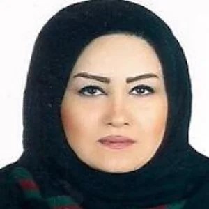 شهرو حاجی عبدالحمیدی
