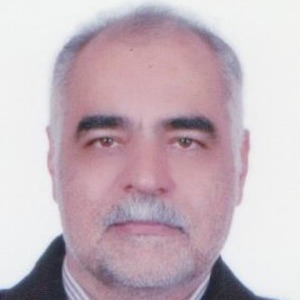 حمیدرضا ولایتی باغداری